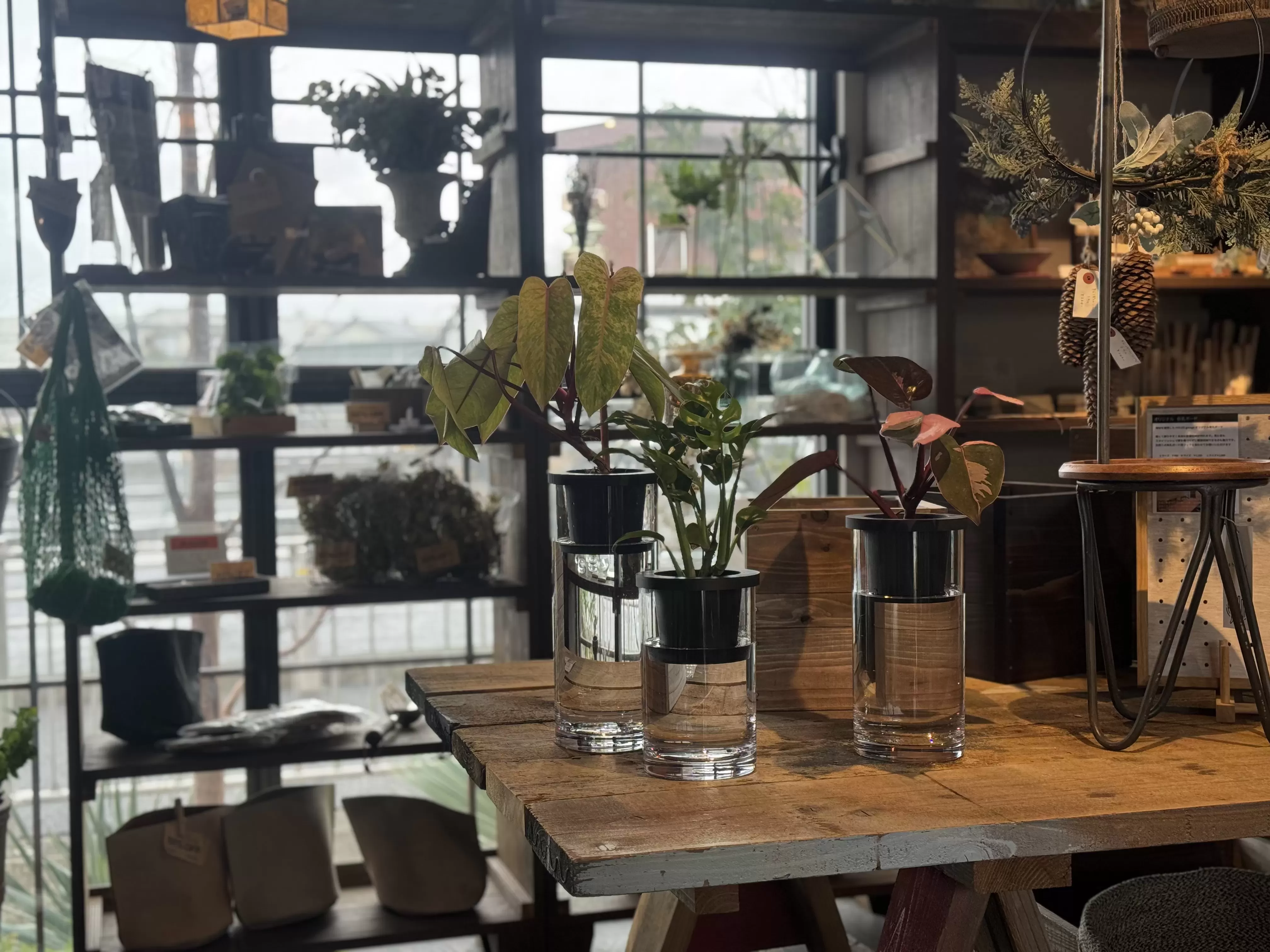 NEO PVシリンダー1220